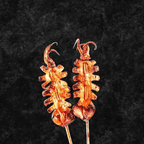 Best Grilled Squid (Whole)烤鱿鱼(大)(1只) in Chicago, IL